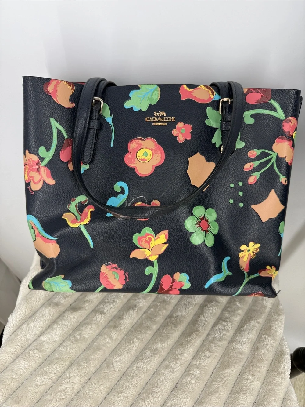 Coach Mollie Tote “Dreamy Land” Print